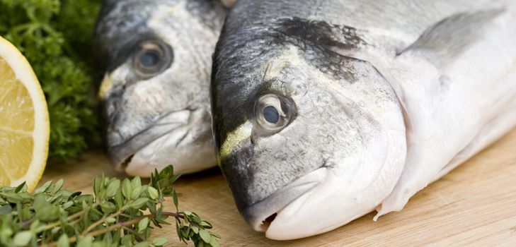 Home canned fish