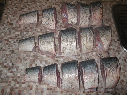 Home canned fish