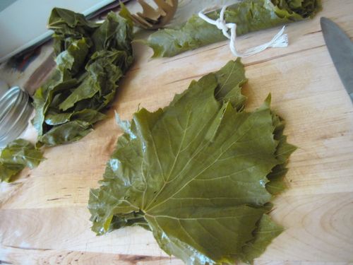 How to pickle vine leaves for dolma