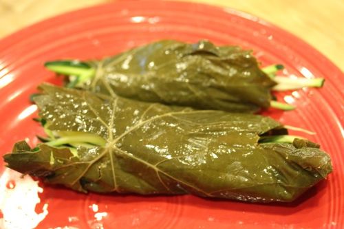 The recipe for harvesting grape leaves for dolma How to pickle vine leaves for dolma