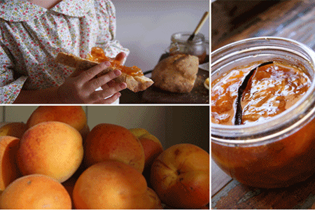 Billets from apricots for the winter