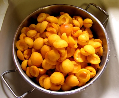 Billets from apricots for the winter