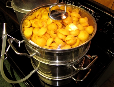 Billets from apricots for the winter