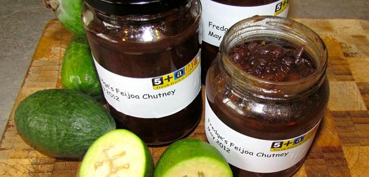 Blanks from feijoa for the winter, the best recipes with a photo