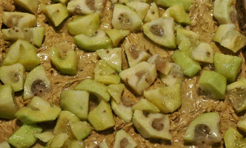 Blanks from feijoa for the winter, the best recipes with a photo