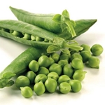 Blanks of green peas for the winter
