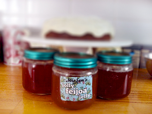 Jelly from feijoa for the winter, a recipe with a photo