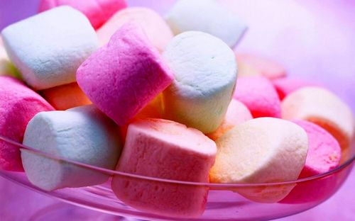 Live life together with low-calorie delicacies