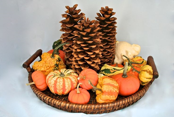 5 Ideas for Autumn House Decor