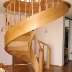 Oak in the interior