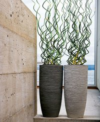 Vases in the interior Vases in the interior