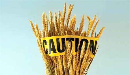 10 facts about gluten
