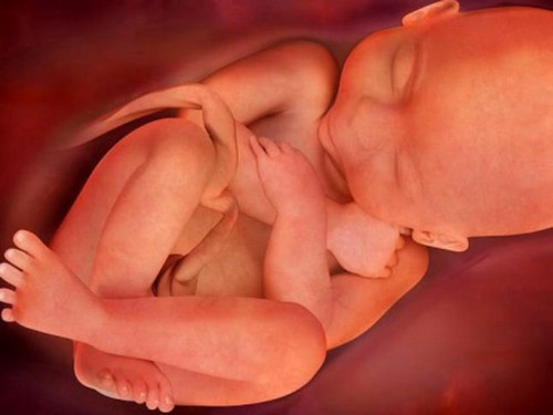 37 week of pregnancy