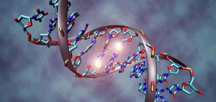 Analyzes for antimulylerov a hormone