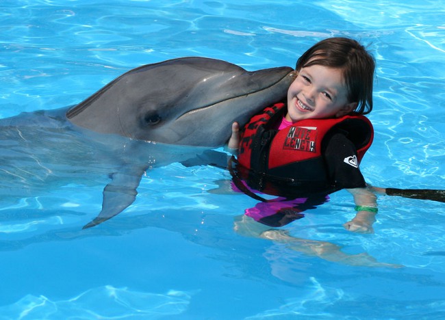 Dolphin therapy: bathing with dolphins