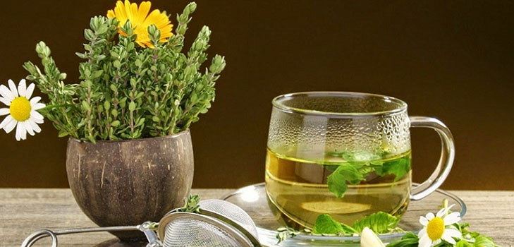 Phytoalchemia: herbs for beauty and health
