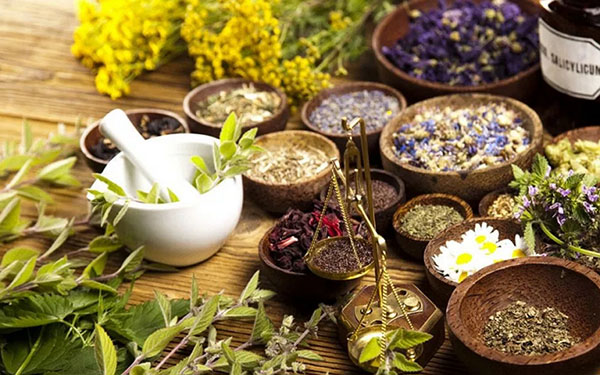 Phytoalchemia: herbs for beauty and health
