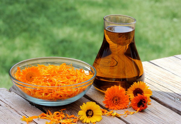 Phytoalchemia: herbs for beauty and health