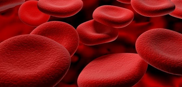 Hemoglobin in pregnancy