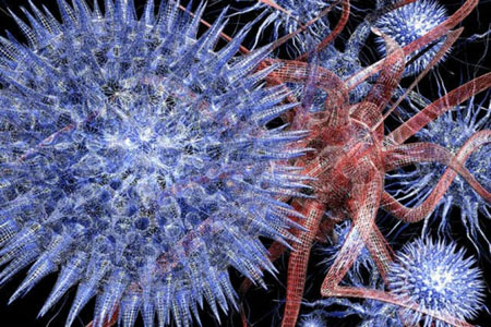 "Geography" of cancer: where they get sick more often