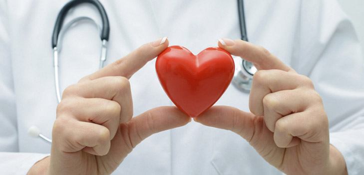 Cholesterol: myths, truth and recommendations of nutritionists