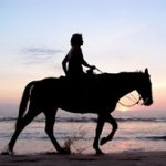 Hippotherapy: a comprehensive method of rehabilitation Hippotherapy: a comprehensive method of rehabilitation