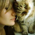 How cats treat people How cats treat people