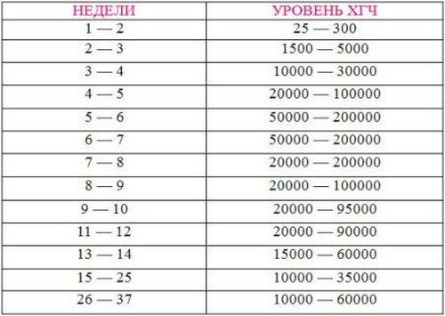 HCG during pregnancy