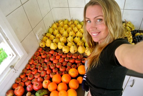 How to become a vegan. 9 Steps to a Healthy Diet