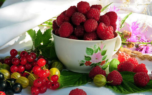 How to dry and brew raspberry leaves? Useful properties and contraindications