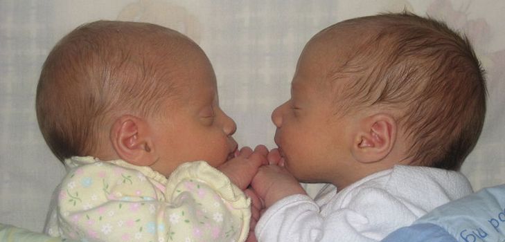 What is the probability of getting pregnant with twins?