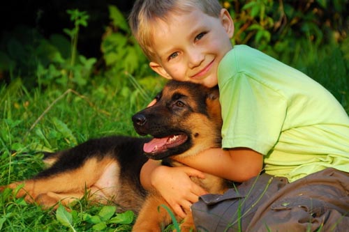 What diseases of dogs are dangerous for humans