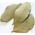 Treatment with bay leaf Treatment with bay leaf