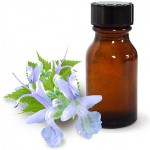 Patchouli oil and its beneficial properties