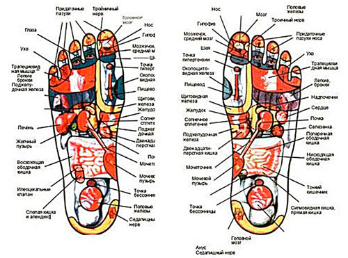 Foot massage - we revitalize the body