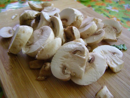 Can mushrooms be pregnant? The answer is here!