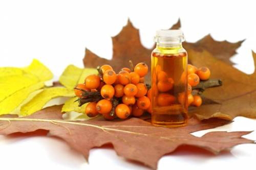 National pharmacy: how to make oil from sea-buckthorn