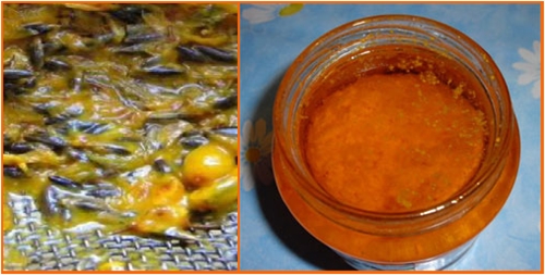 National pharmacy: how to make oil from sea-buckthorn