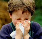 Folk treatment of adenoids Folk treatment of adenoids