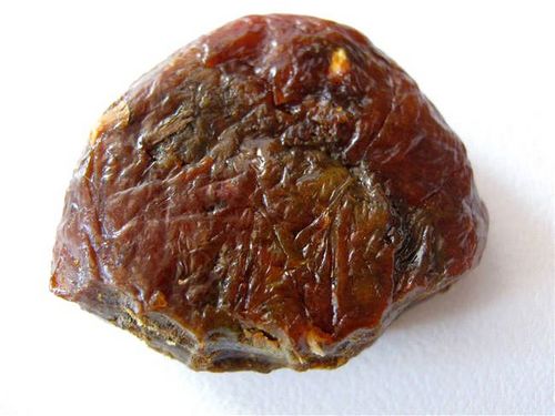 Tincture of propolis - a healing agent