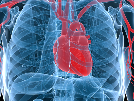 Ejection fraction rate