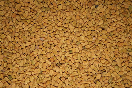 Fenugreek - what is it? Useful properties of fenugreek (with photo)