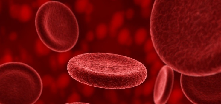 Benefits and harm of adrenaline