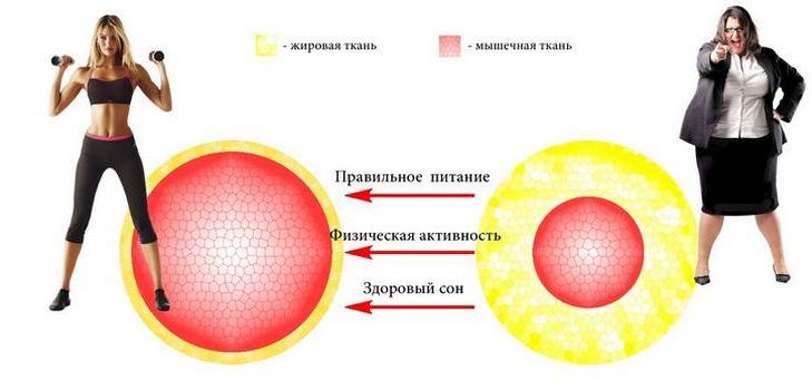 How to recognize and what to do in case of metabolic disorders