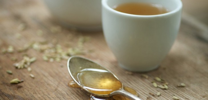 Motherwort in Pregnancy