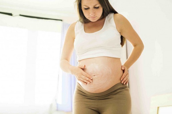 Motherwort in Pregnancy