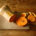 Pumpkin Diet Pumpkin Diet