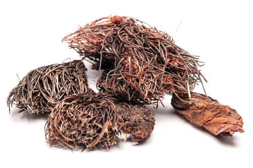 Grass is a red brush and its medicinal properties. Recipes of traditional medicine
