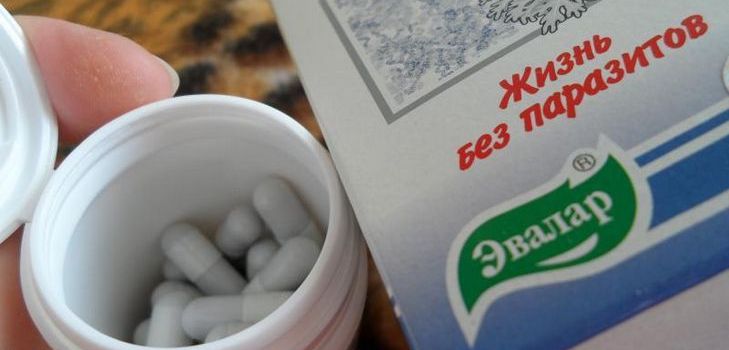 An antiparasitic drug is Troychchatka Evalar. Composition. Instructions. Reviews