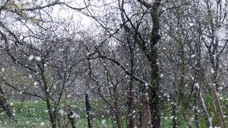 Spring depression: actively fighting the March malaise